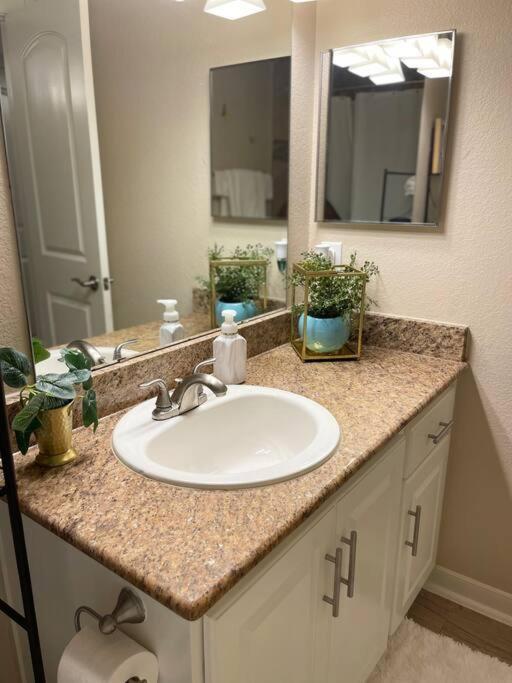 Beautiful/Spacious 2 Bedroom Houston Near Galleria Exterior photo